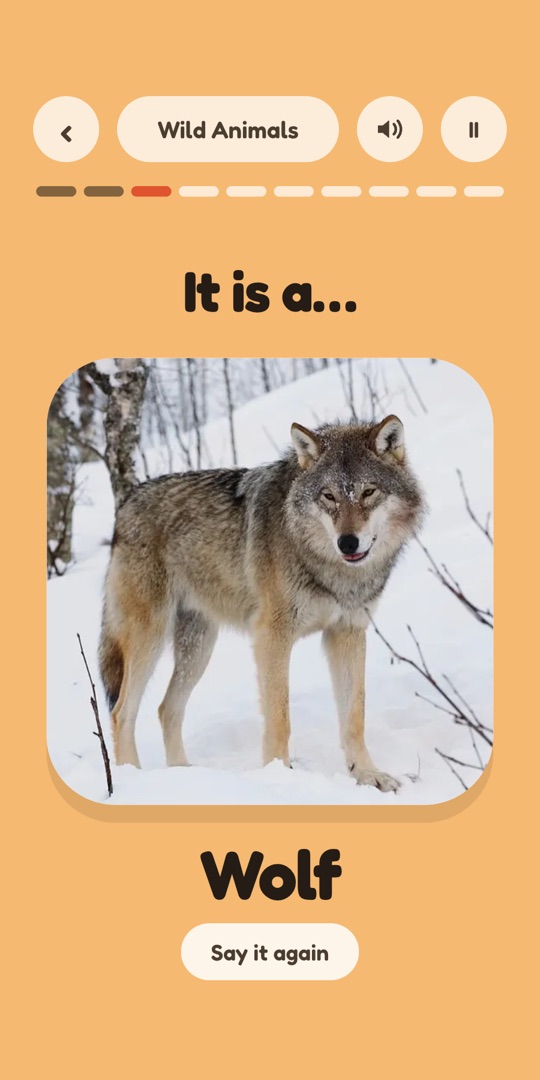 The reveal — It is a… Wolf, with a photo of a wolf in snow and a Say it again button