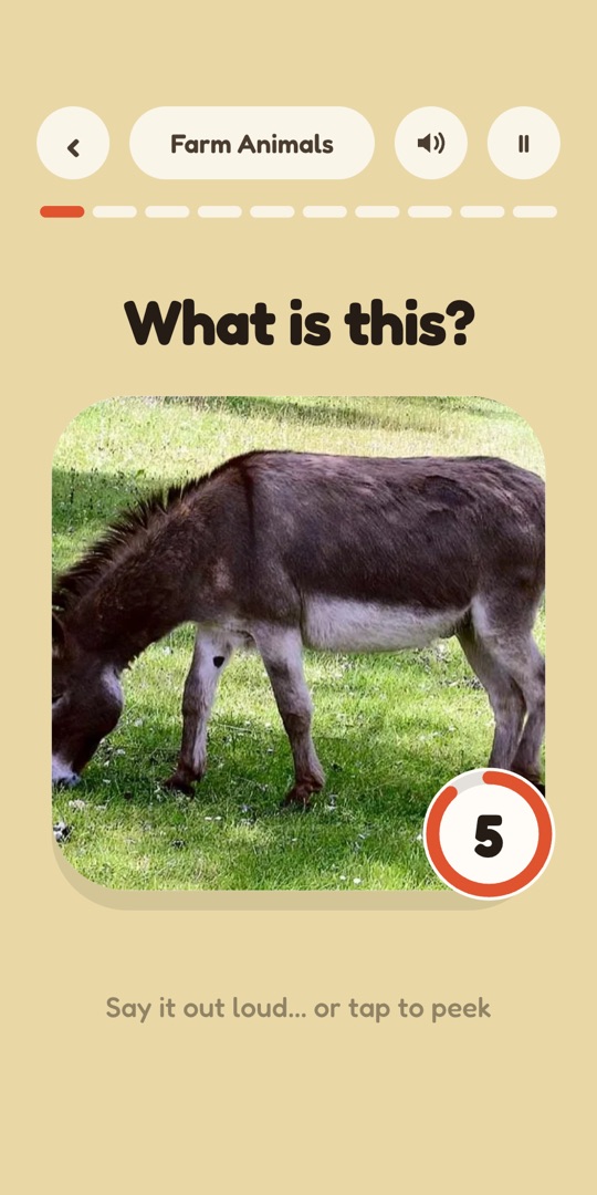 Mid-round — a photo of a donkey grazing with the question What is this? and a countdown ring at 5