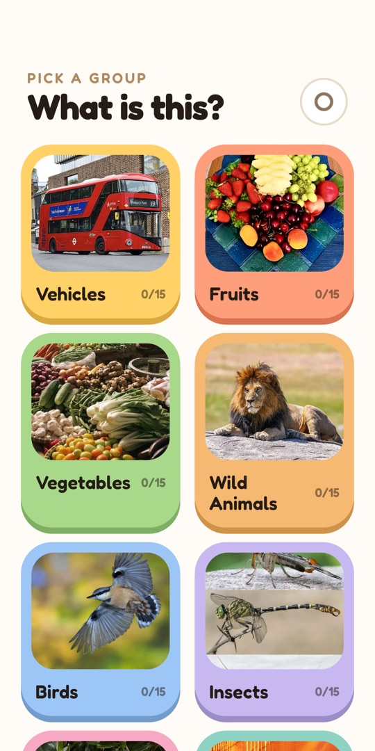 Pick a group — a grid of colourful cards: Vehicles, Fruits, Vegetables, Wild Animals, Birds, Insects, each showing 0 of 15 seen